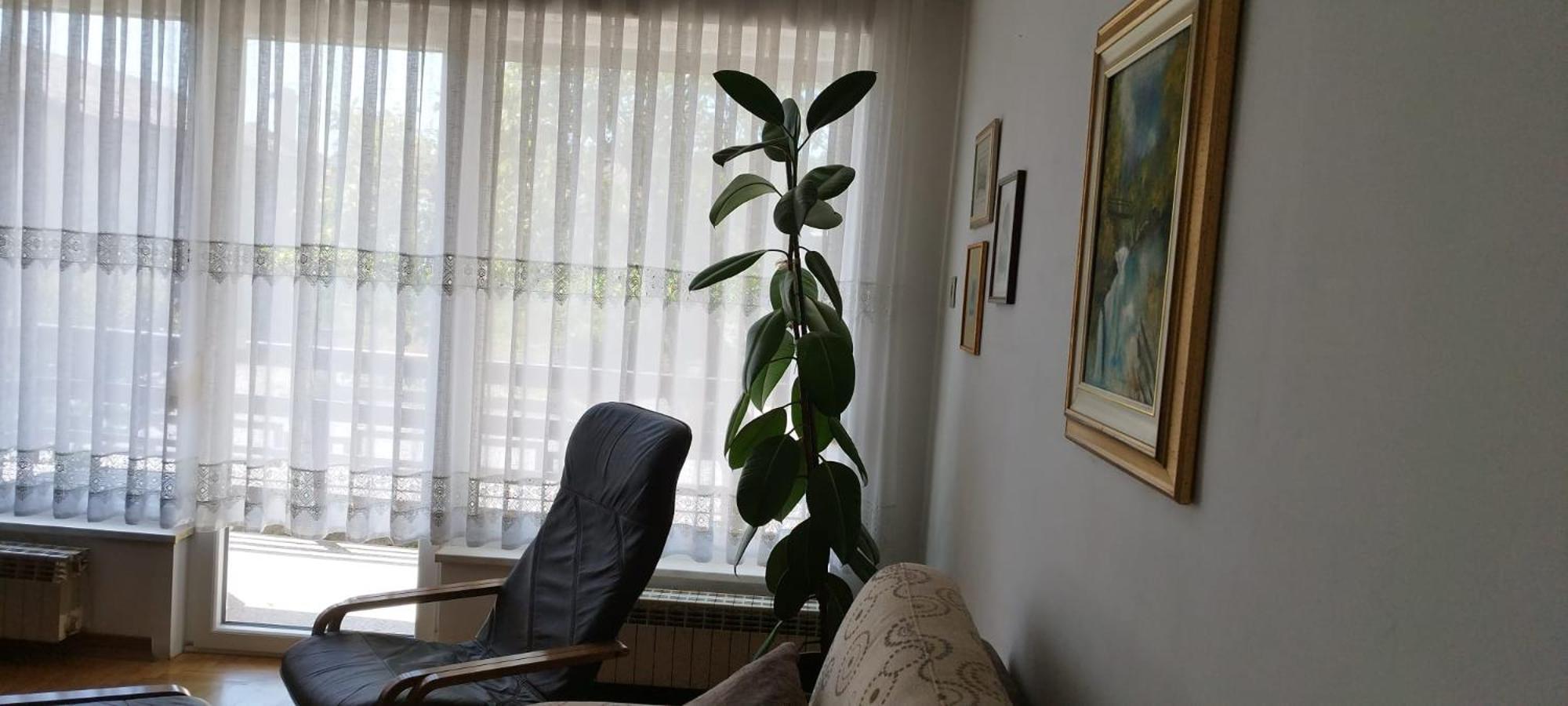 7 Flower Street Apartment Sempeter pri Gorici Exteriér fotografie